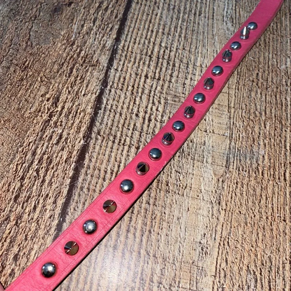 Pink studded spiked leather collar petco  Size 16”